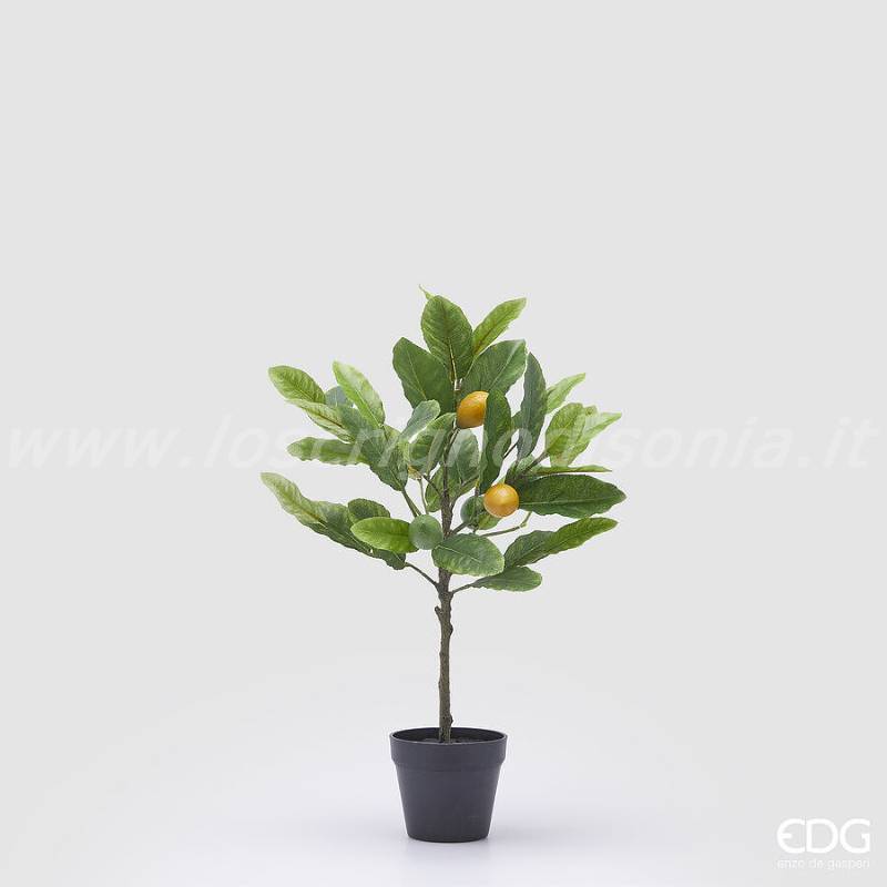 Pianta di Limone Artificiale EDG con Vaso – Altezza 48 cm