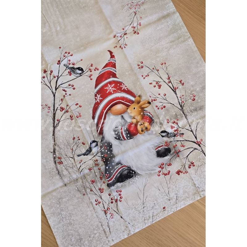 Canovaccio in Cotone 50x70 cm Decoro Gnomo Natalizio – Ambiente