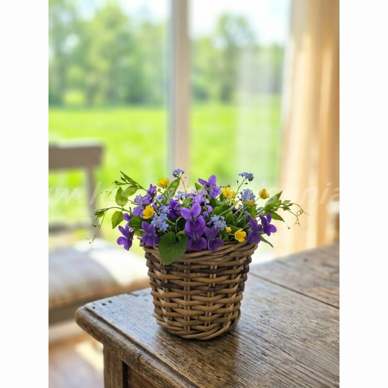 Cesto Piccolo in Rattan EDG – Diametro 22 cm H 20 cm