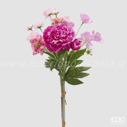 2100611A559-Peonia-fucsia-Cespuglio-62cm
