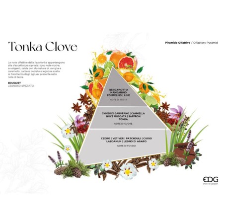edg-profumatore-ambiente-bastoncini-100-ml-tonka-clove-1