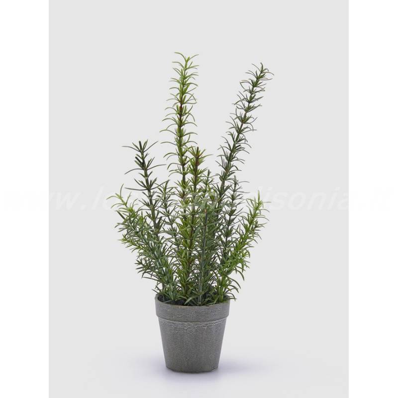 Rosmarino Artificiale in Vaso EDG - Pianta Aromatica - h 38 cm